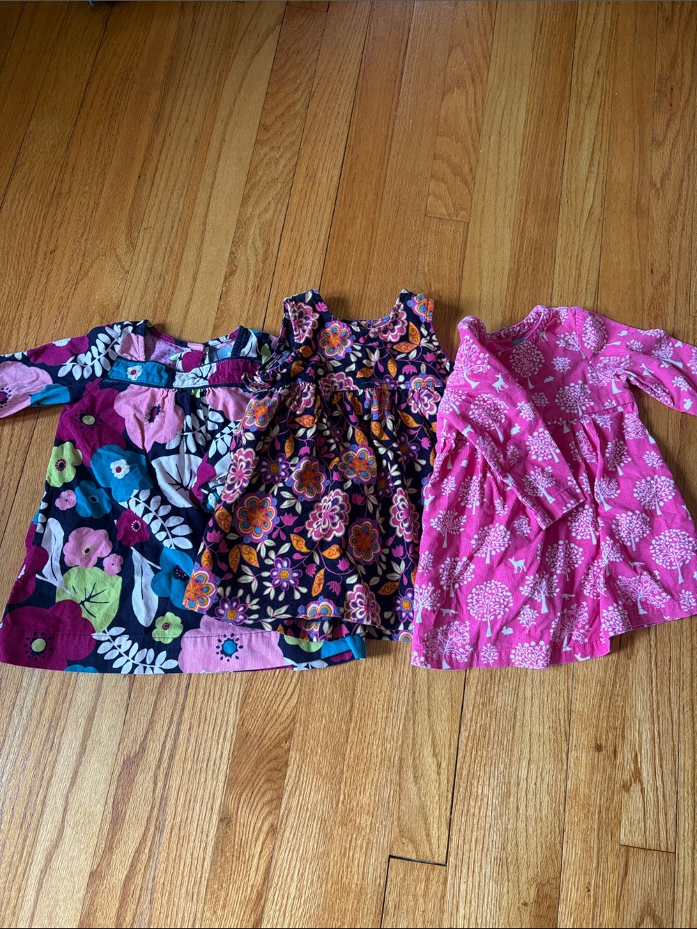 Girls' Hanna Andersson Baby Gap Corduroy Floral dress lot bundle
